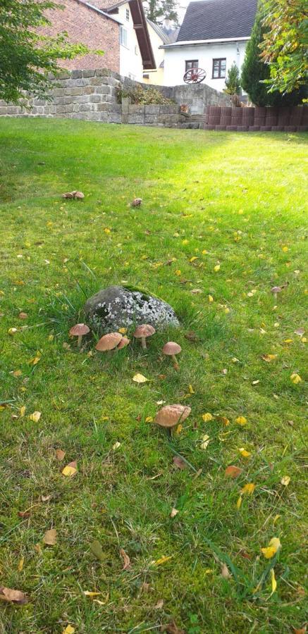 Rekreacni Dum Pohoda Jiřetín pod Jedlovou Esterno foto